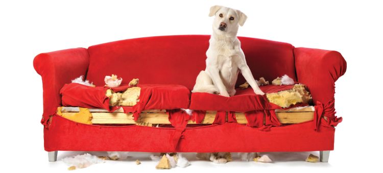 INDEMNITY COSTS AND UNREASONABLE LITIGATION BEHAVIOUR